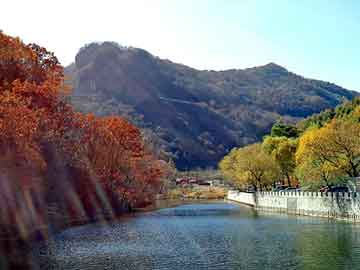 澳彩资料免费长期公开，土白芨